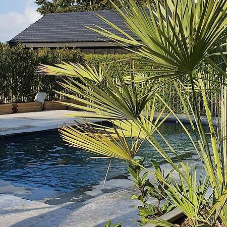 Pine Cottage- 5 Minutes Francorchamps - Charme -Piscine-Calme-Jardin Sart  Bagian luar foto