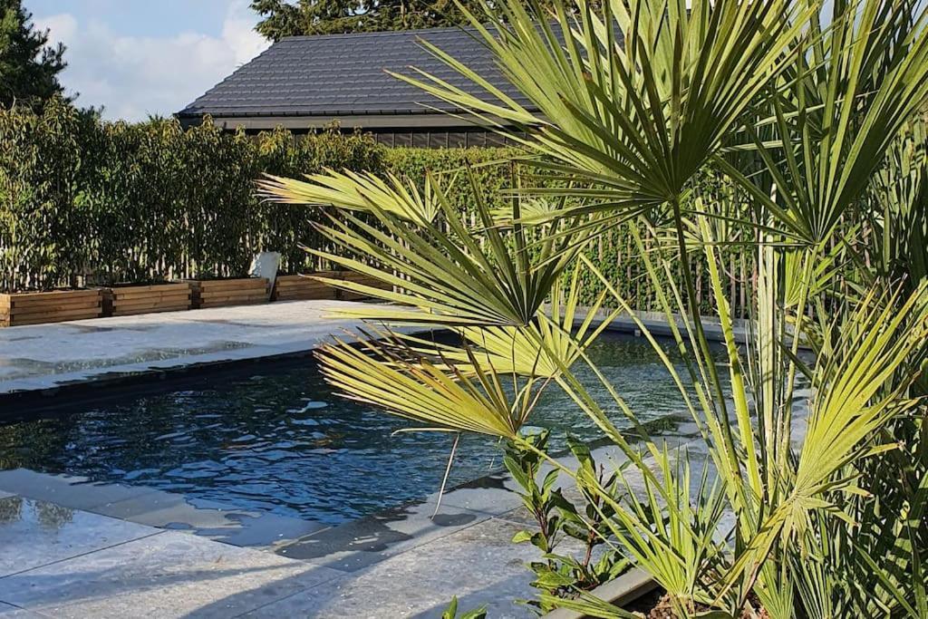 Pine Cottage- 5 Minutes Francorchamps - Charme -Piscine-Calme-Jardin Sart  Bagian luar foto