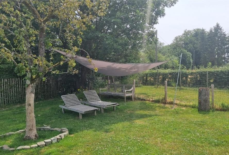 Pine Cottage- 5 Minutes Francorchamps - Charme -Piscine-Calme-Jardin Sart  Bagian luar foto
