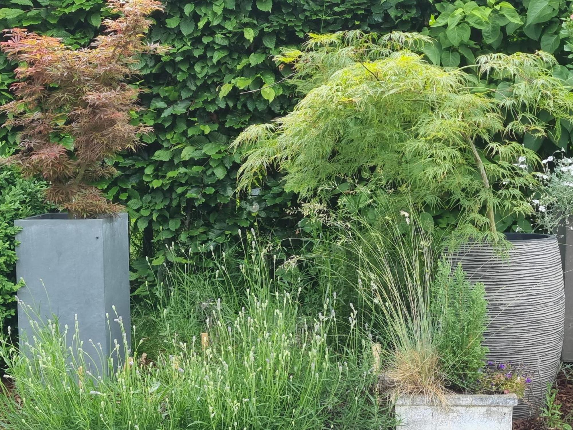 Pine Cottage- 5 Minutes Francorchamps - Charme -Piscine-Calme-Jardin Sart  Bagian luar foto